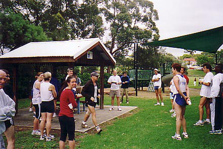 hcap11_2004